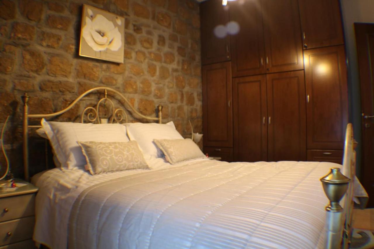 Aelia Home Synikia Mesi Trikalon Zewnętrze zdjęcie
