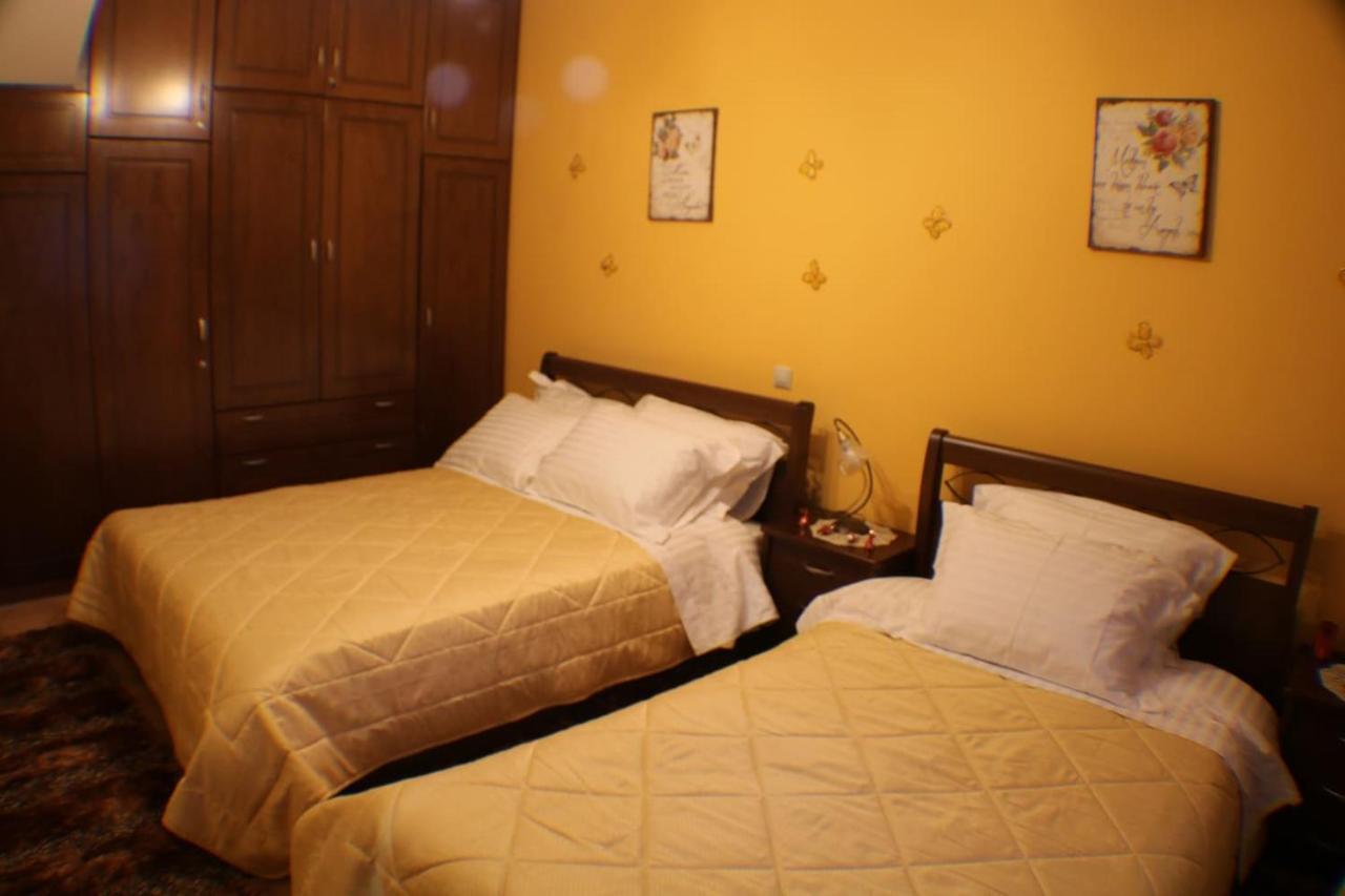 Aelia Home Synikia Mesi Trikalon Zewnętrze zdjęcie