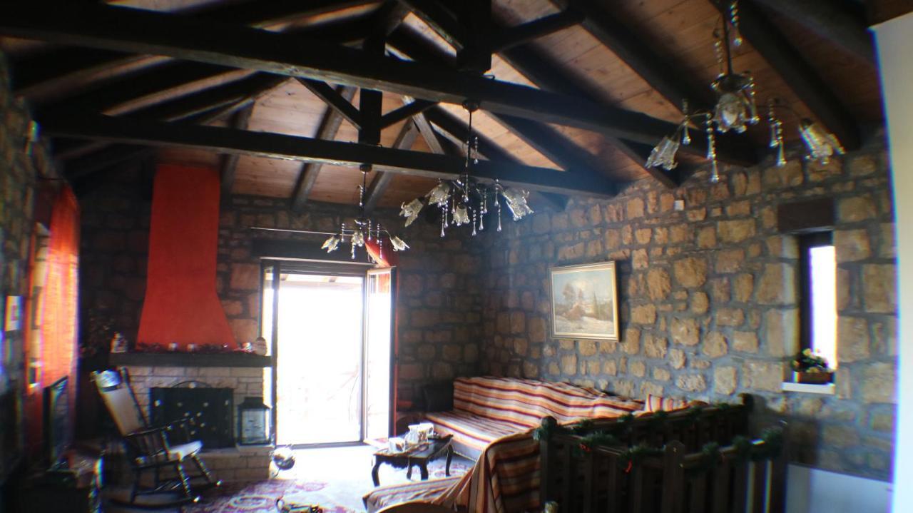 Aelia Home Synikia Mesi Trikalon Zewnętrze zdjęcie