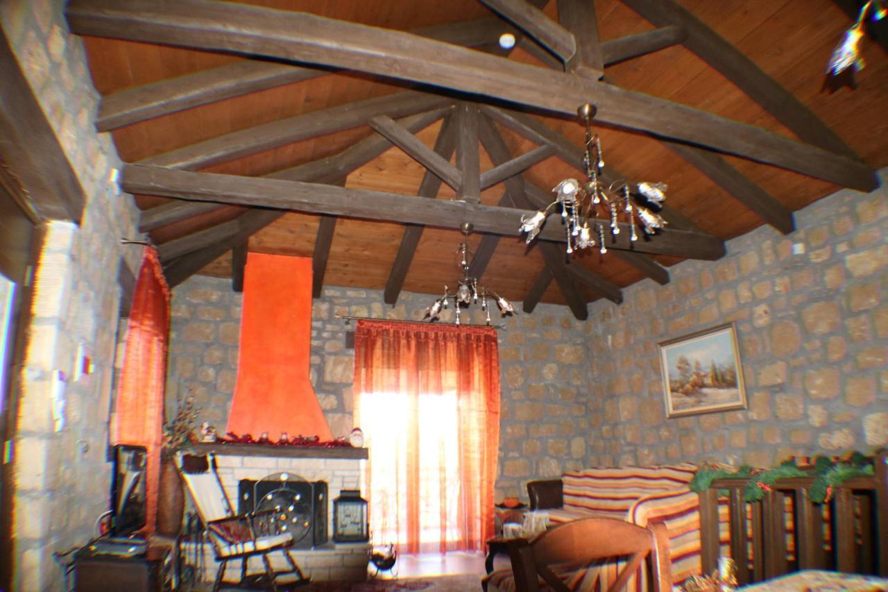 Aelia Home Synikia Mesi Trikalon Zewnętrze zdjęcie