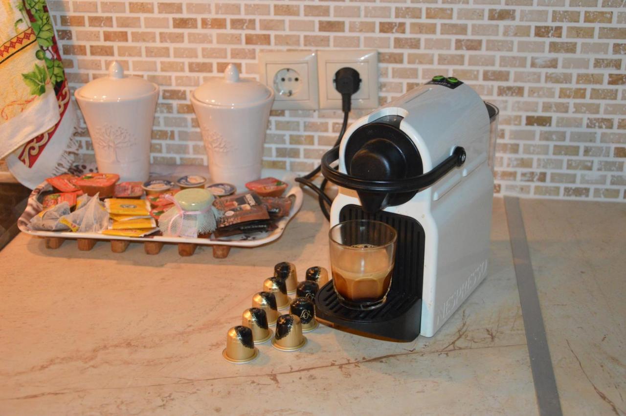 Aelia Home Synikia Mesi Trikalon Zewnętrze zdjęcie
